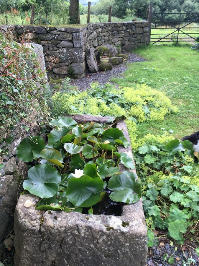 Perthi Uchaf Villa Llanberis Exterior photo